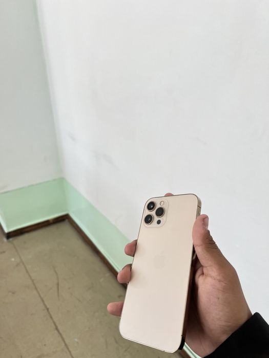 iPhone 12 pro max