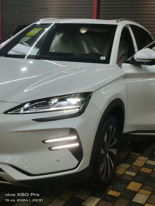 BVD Chimpion 2024йил срочно сотилади Тоза 100%