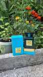 Tom Ford Neroli Portofino 100 ml
