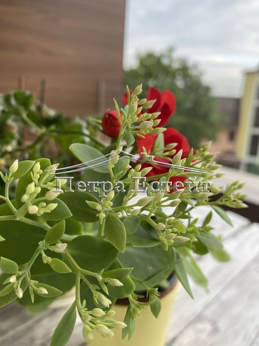 Новопостроен Мини Хотел/къща за гости, Варна, м-т Ален Мак