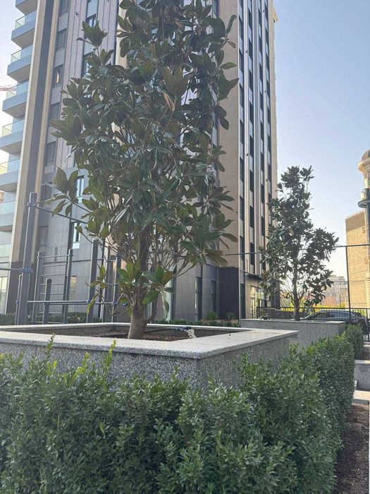 2-х комнатная с перегородками в ЖК «Дархан Авеню» ID: 3930