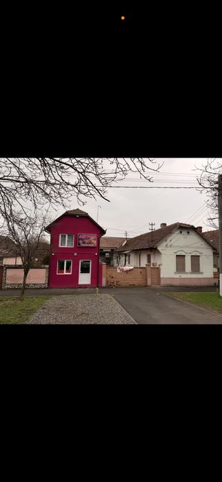 Dau in chirie casa pe Calea Timisorii