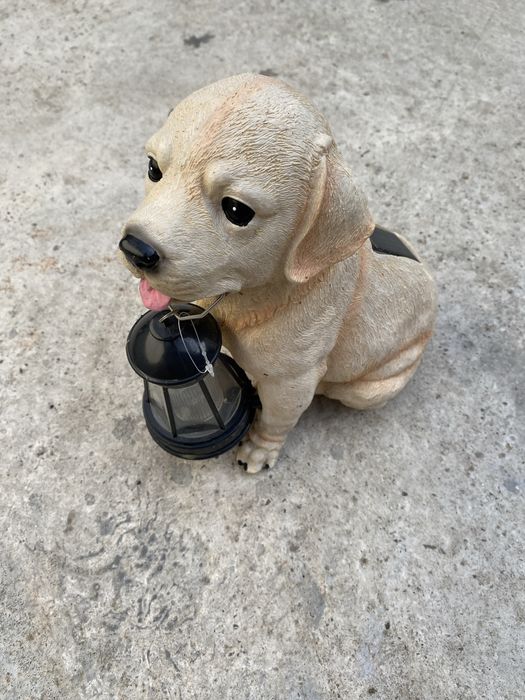 Decoratiune luminoasa