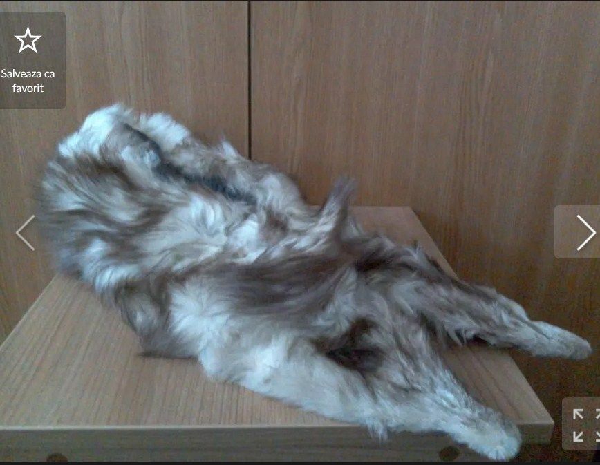 Guler deosebit, din blană de vulpe argintie