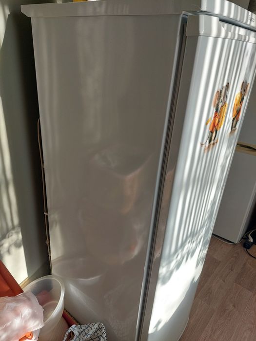 Морозильная камера шкаф