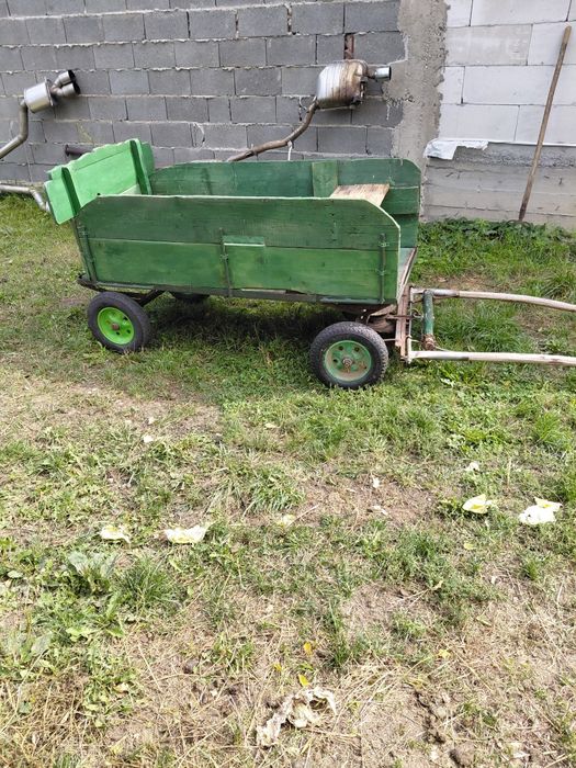 Cal cu căruță de vánzare