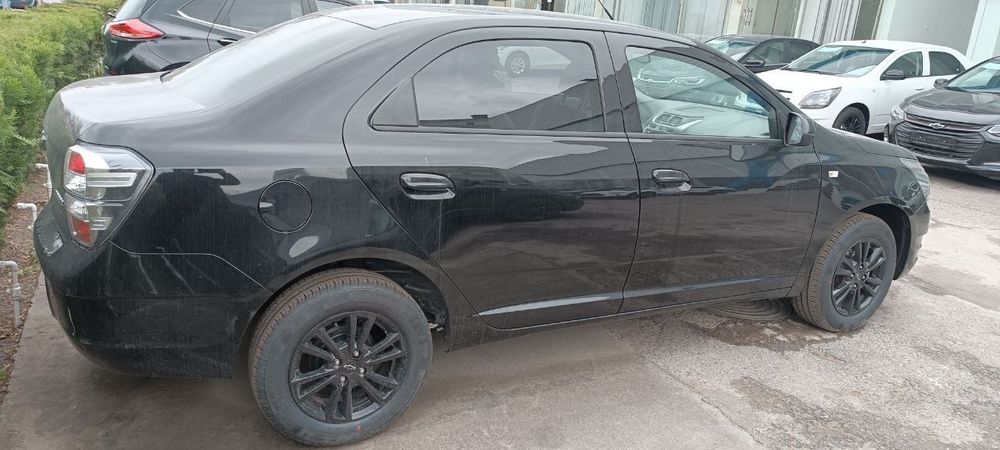 ‼️Masla Midnicht Qora mcm msm ‼️Coblt