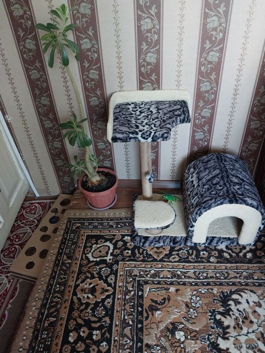 Домик когтеточка