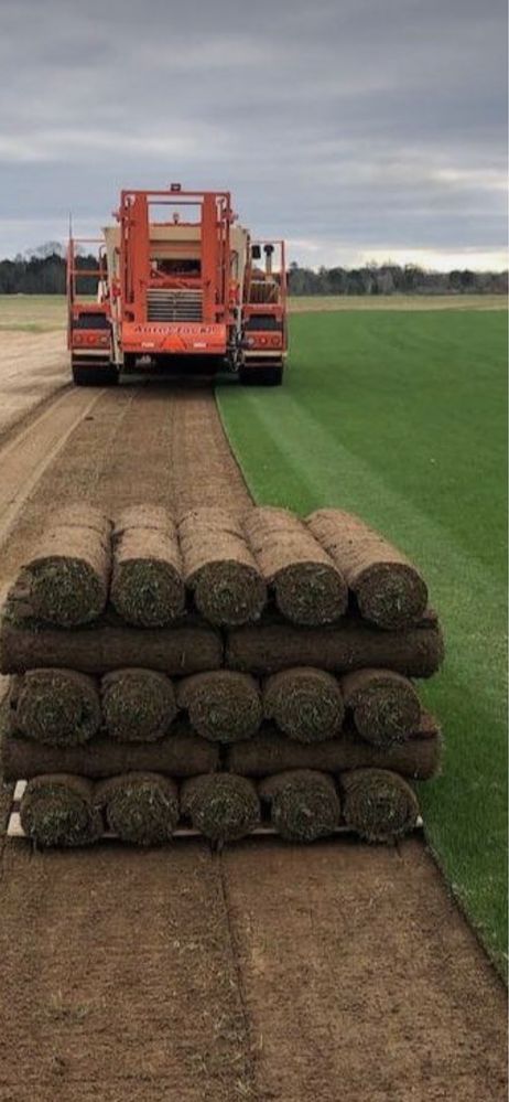 Amenajăm spati verzi cu gazon verde rulou si plante