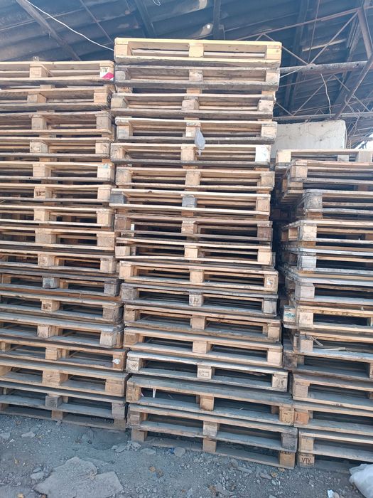 Paddon palet 100*120.    50000dan