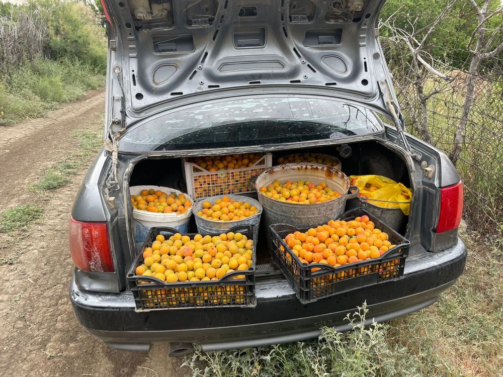 Продам дачу Алмалы