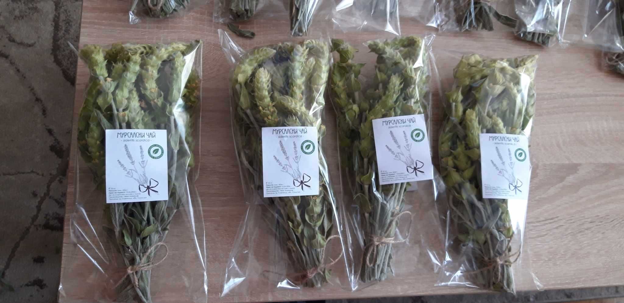 Мурсалски чай. Sideritis scardica