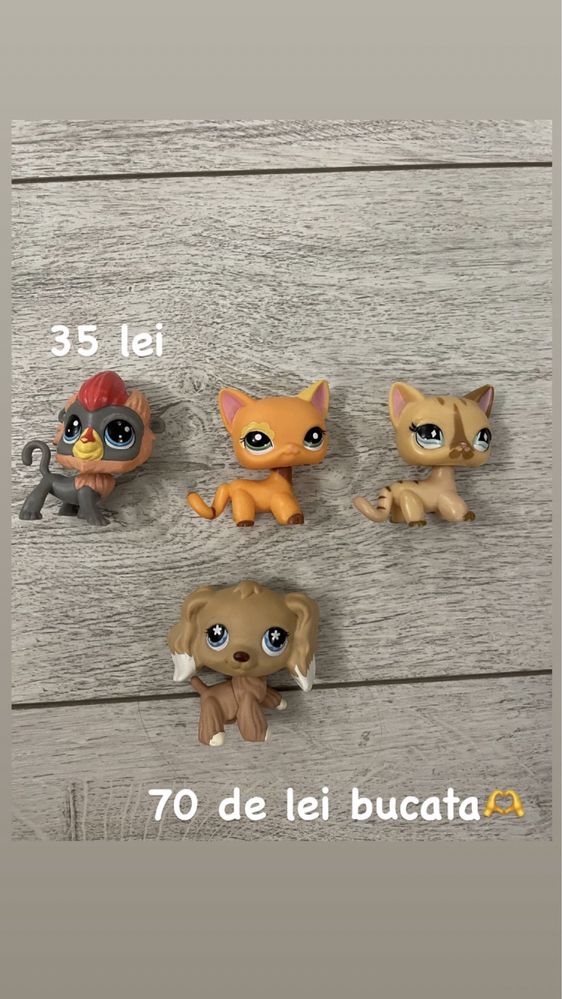 Littlest pet shop