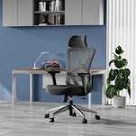 Scaun de birou ergonomic Ticova