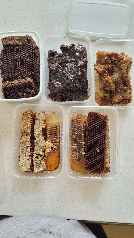 Продам мед в сотах для тех кто умеет ими пользоваться