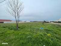 Teren intravilan 1454mp situat in Albesti, in proximitatea centurii de