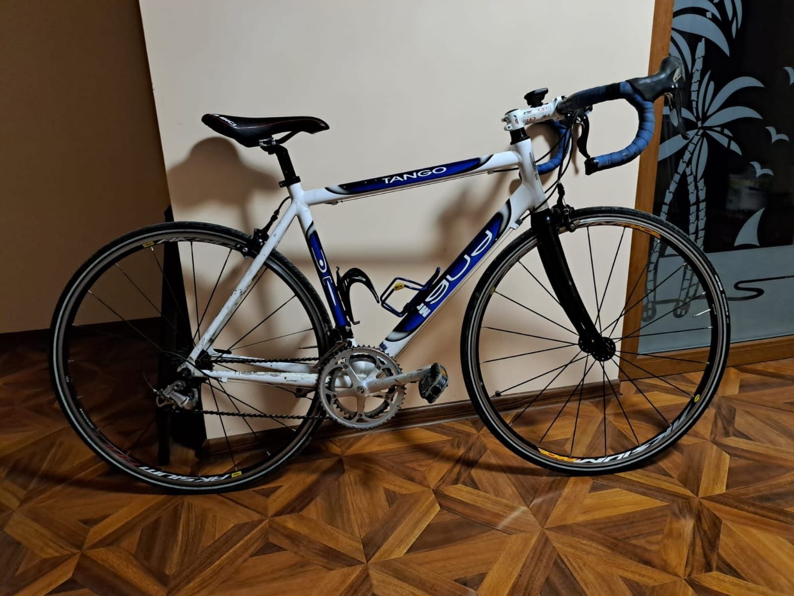 Cursiera TANGO carbon