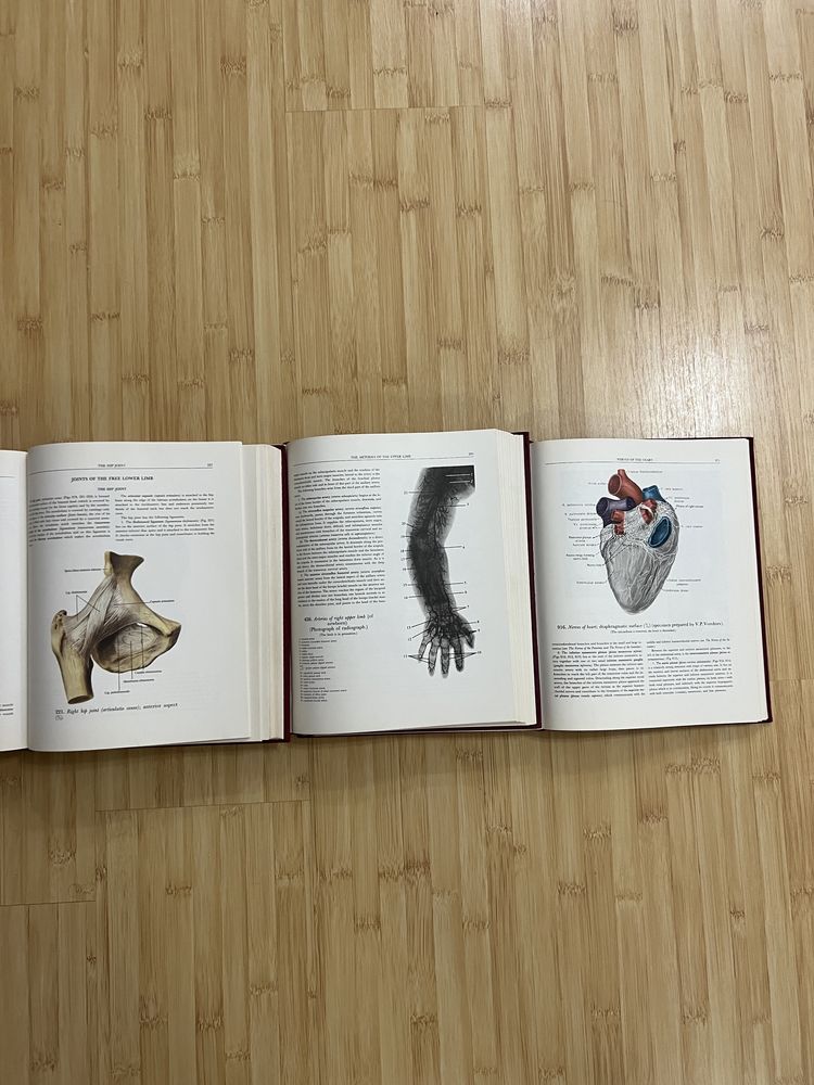 R. D. Sinelnikov - Atlas de anatomie umana - 3 Volume - In Engleza