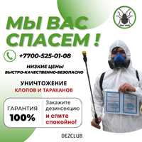 Дезинфекция, Дезинсекция, Дератизация Шымкент 100% гарантия