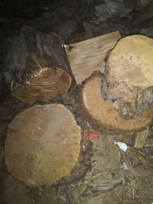 Жигида отын  сатылады