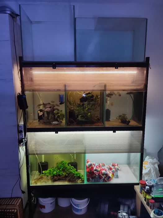 Acvariu / acvarii pești exotici, raft cu 7 acvarii