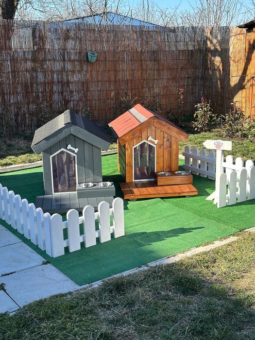 Cușcă de câine izolată profesional - livrare rapidă