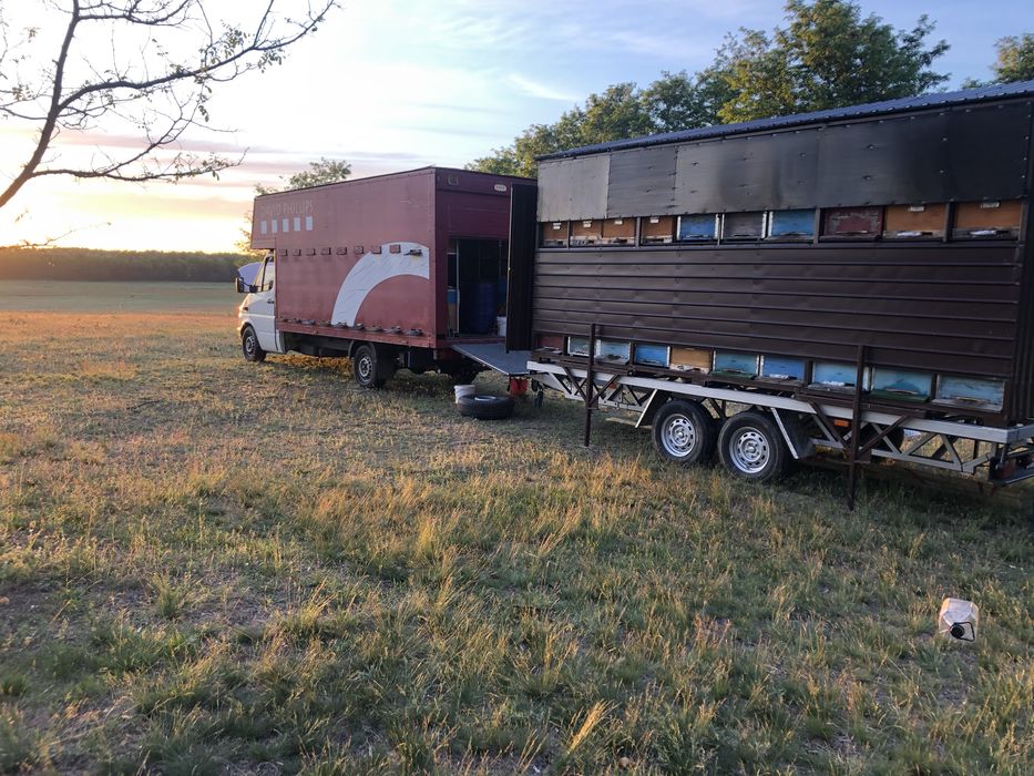 Vand remorca apicola