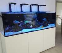 Ремонт аквариумов любой сложности
изготовление аквариум от50 до 2.5 лт