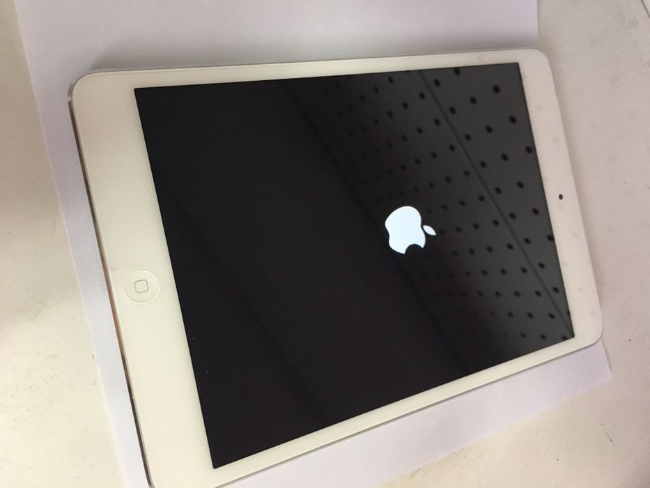 Apple iPad mini Wi-Fi + Cellular icloud