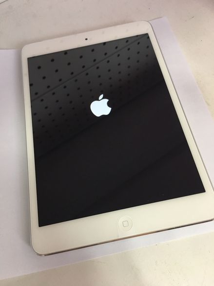 Apple iPad mini Wi-Fi + Cellular icloud
