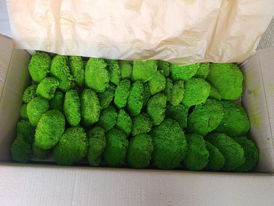 Топчест мъх на едро за зелени стени, картини и пана тъмно и натурално