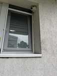 Plase Tantari /insecte toate culorile