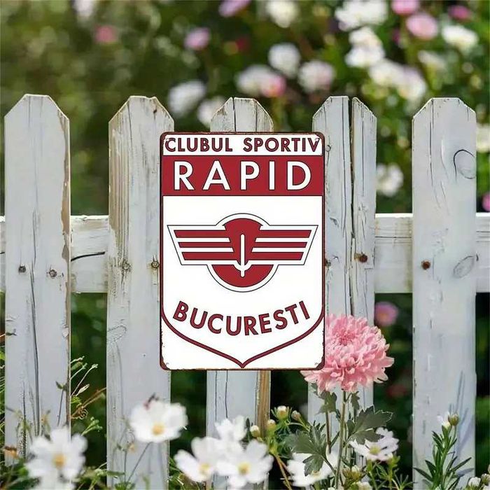 Placa metalica 30/20 cm