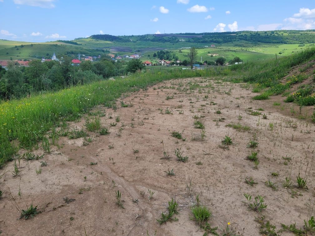 Vand teren intravilan+proiect de casa