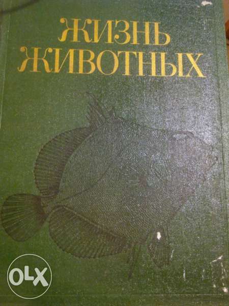 Руска енциклопедия за животните том 4