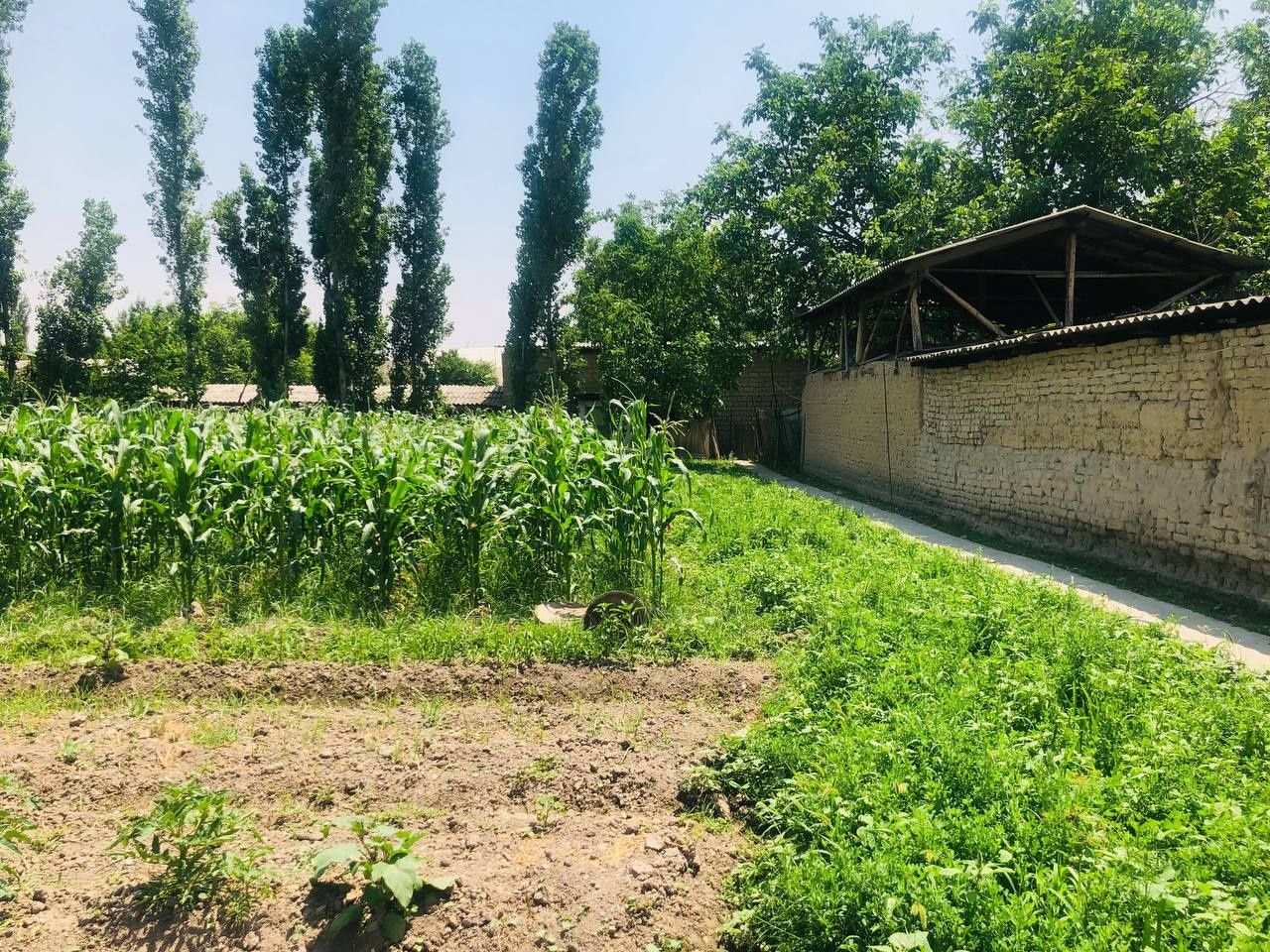 Narxi kelishiladi