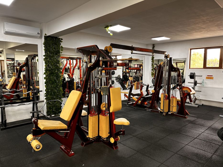 Vând stație fitness cu 6 posturi de lucru
