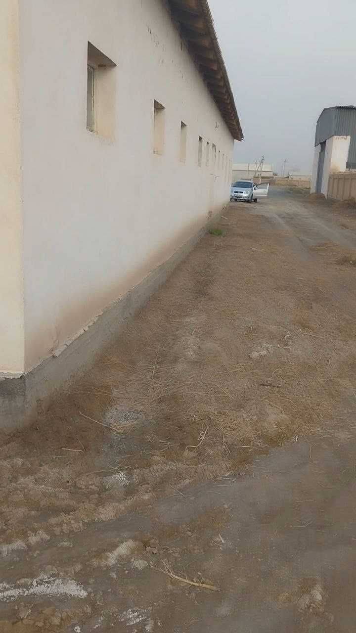 Nukus tumanida Molxona va Tovuqxona binosi sotildi