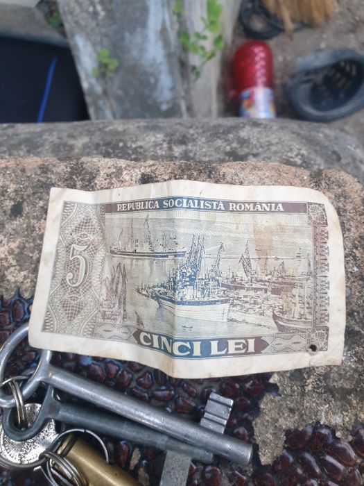 Bagnota 5 lei 1966 bani vechi