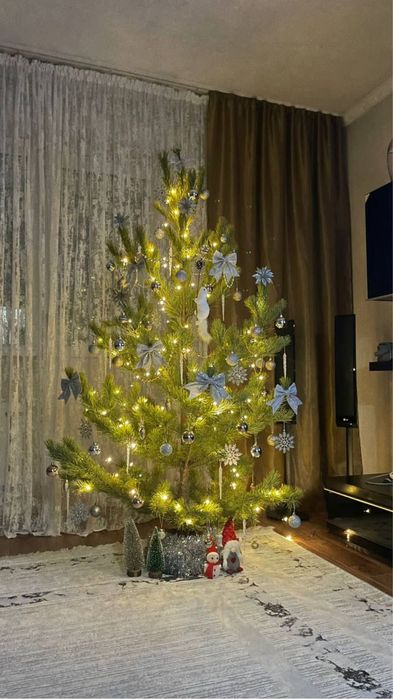 Живые красивые Ёлочки от 1.5 до 3 метров