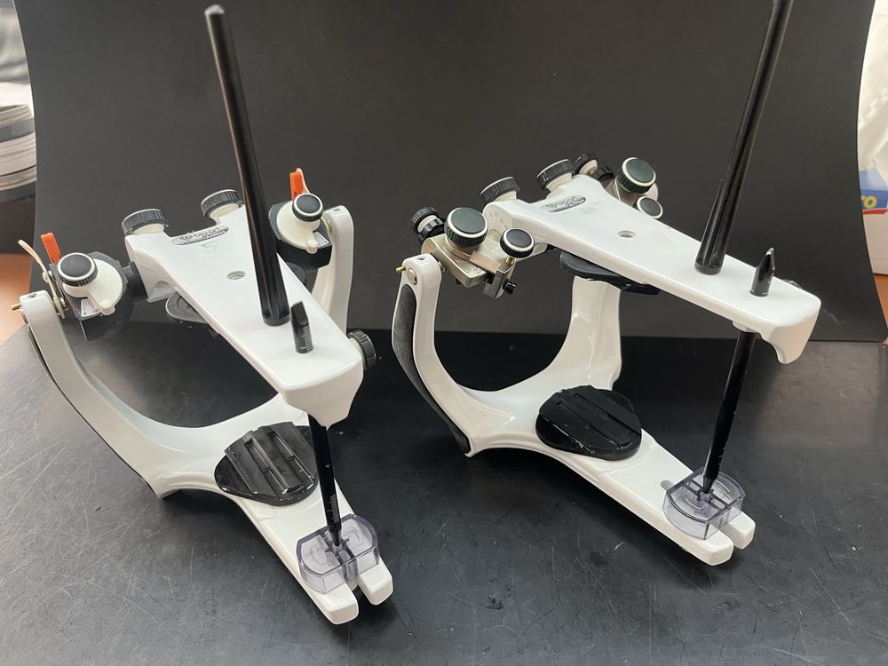 Articulator Bioart