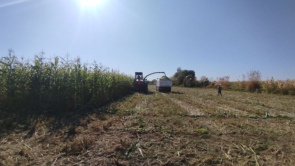 Silos,senaj,силос,Уриб берамиз