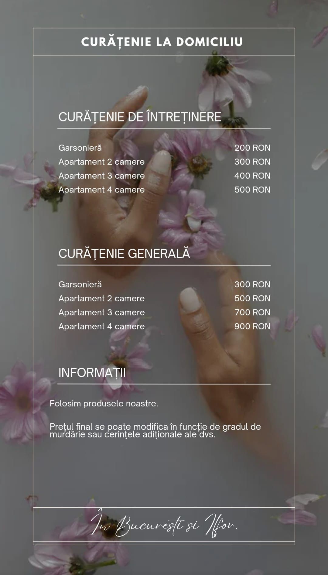 Curățenie la domiciliu