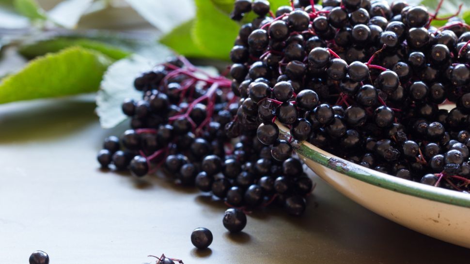 Сушени плодове от черен бъз