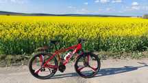 Vând bicicleta Carpat