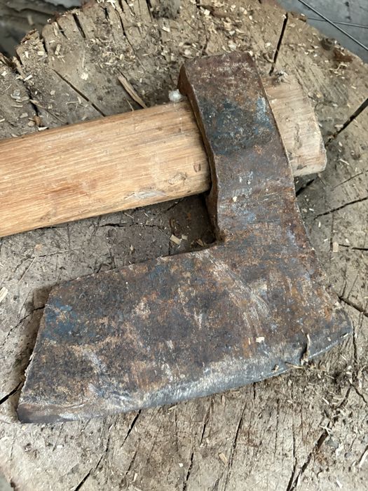 Bardă mare fier puternic dezvoltată