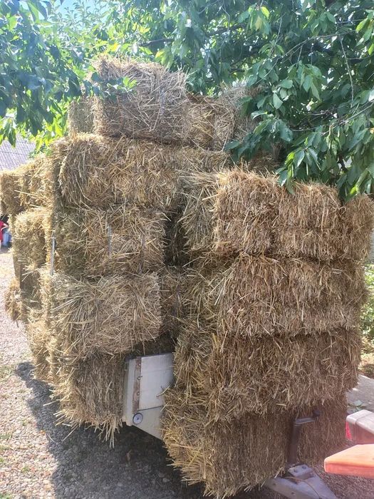 Vând baloti de paie