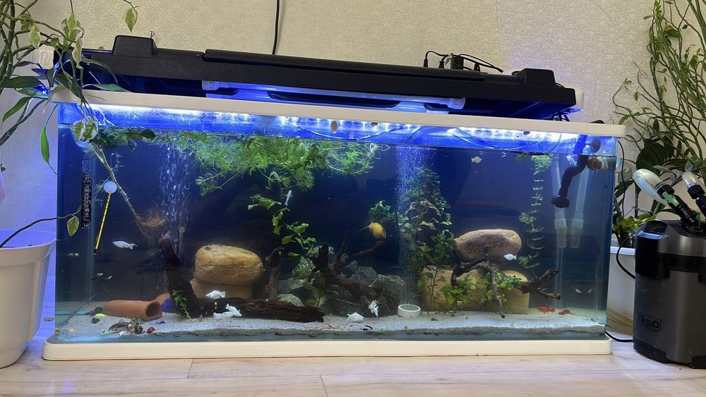 Аквариум 200 литров