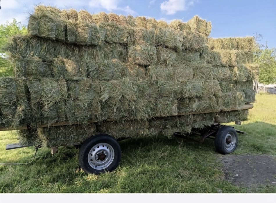 Vând baloți fân fân