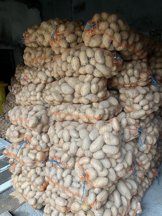 Vâmd cartofi Porumbacu de jos Judetul Sibiu